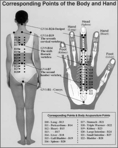 SOM Wisdom book by Master James Min