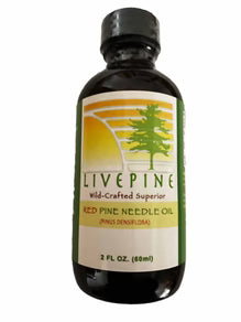 Live Pine Red Pine Needle Oil – WILD CRAFTED PINUS DENSIFLORA (2oz)
